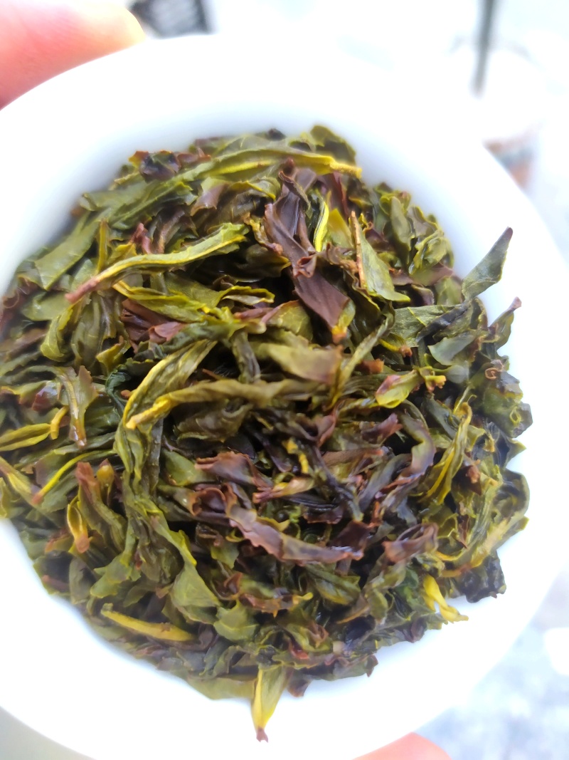 诏安茗茶八仙黄旦茶叶大坪土山茶福建高山茶清香型黄旦乌龙茶