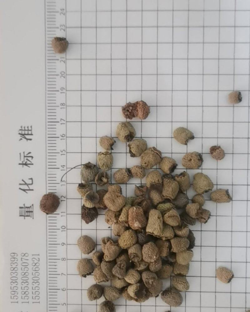 泽润中药批发供应覆盆子产地直销重在品质