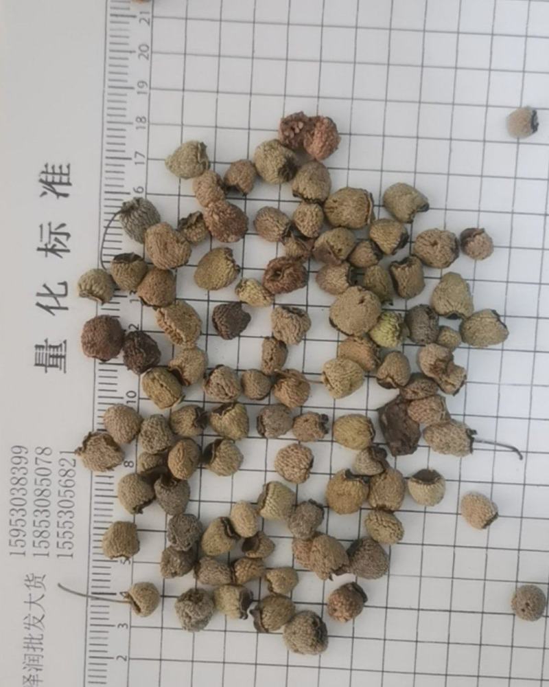 泽润中药批发供应覆盆子产地直销重在品质