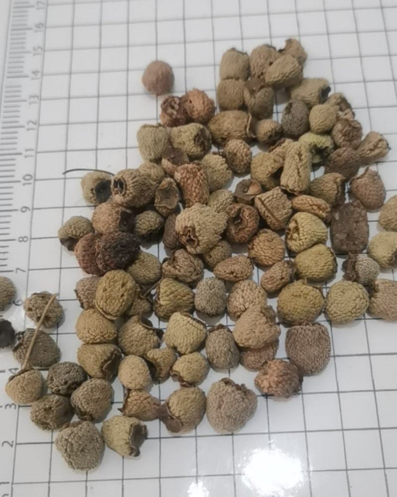 泽润中药批发供应覆盆子产地直销重在品质
