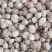 泽润中药批发供应白豆蔻大统货0.2筛