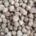泽润中药批发供应白豆蔻大统货0.2筛