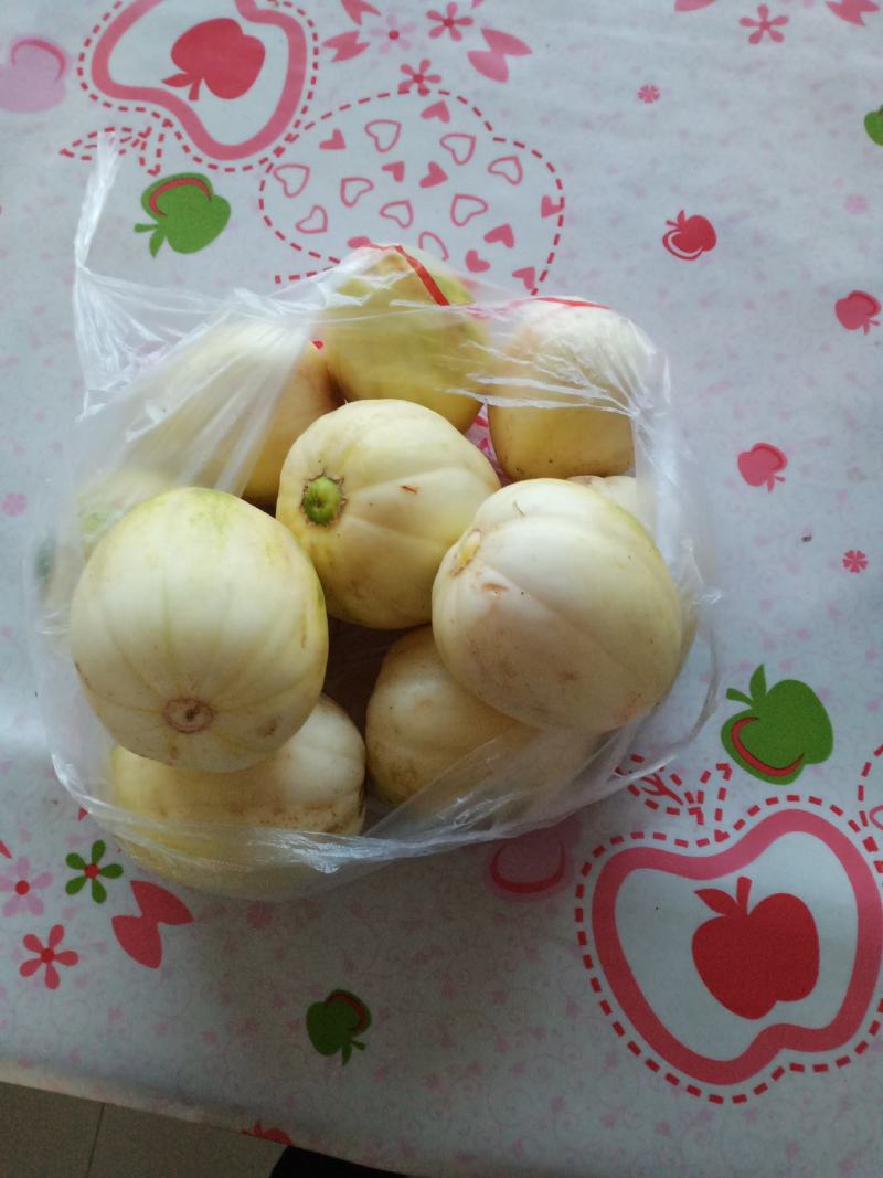 精密甜瓜下来了