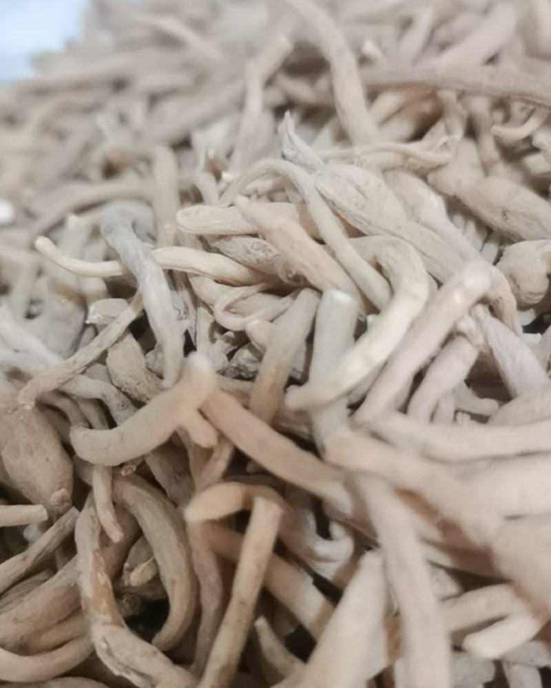 泽润中药批发供应太子参原统货批发零售各种规格中