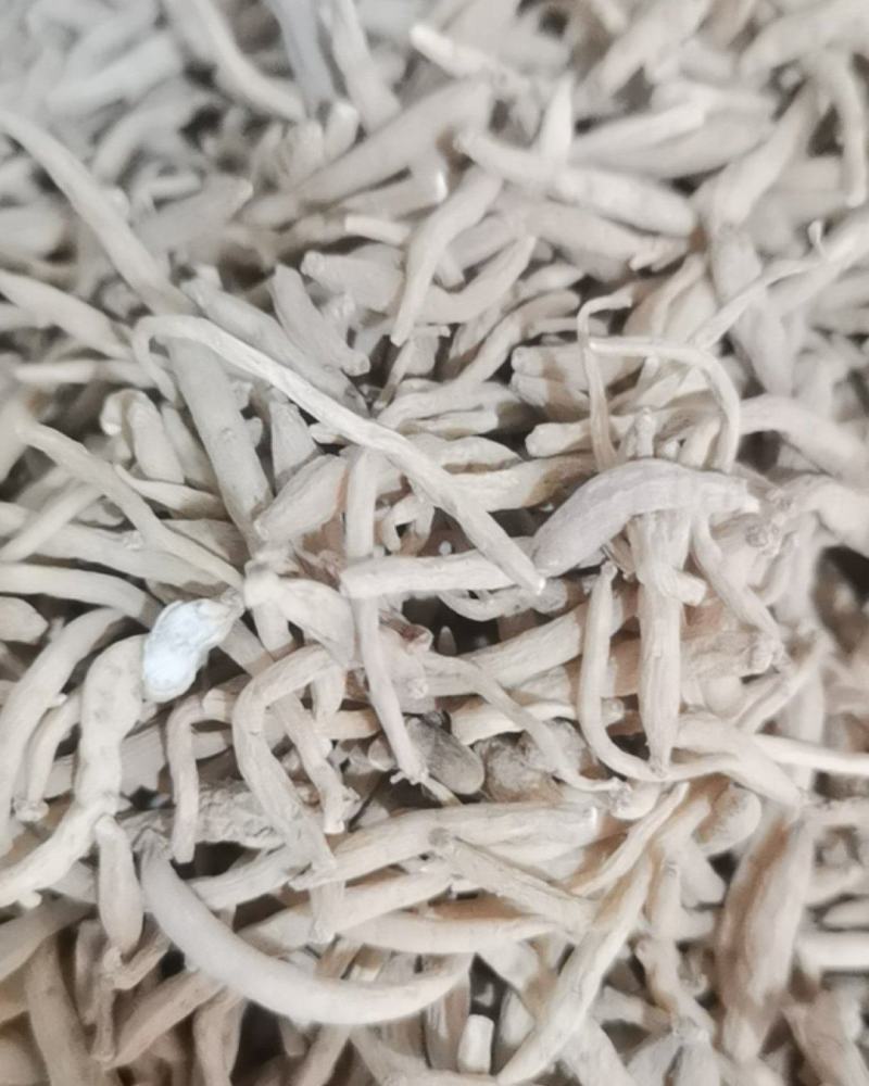 泽润中药批发供应太子参原统货批发零售各种规格中