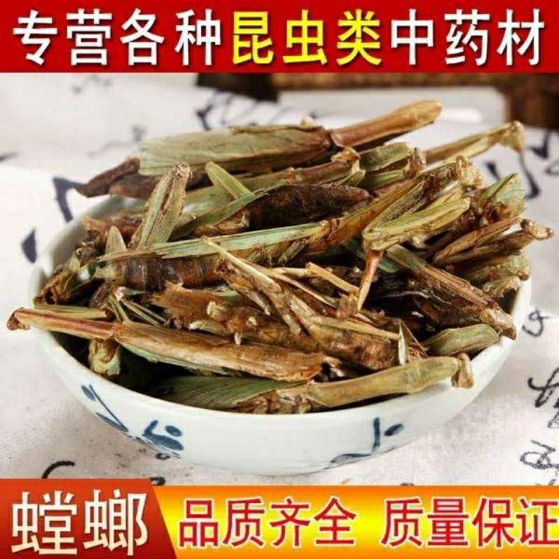 中药材螳螂干刀螂干品昆虫类保质保量品种齐全包邮