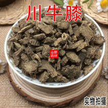 云南中药材川牛膝正品川牛夕500g