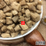 中药材牛膝怀牛膝河南焦作特产无硫500g包邮