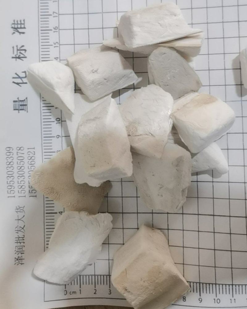 海螵蛸泽润中药批发供应海螵蛸大块