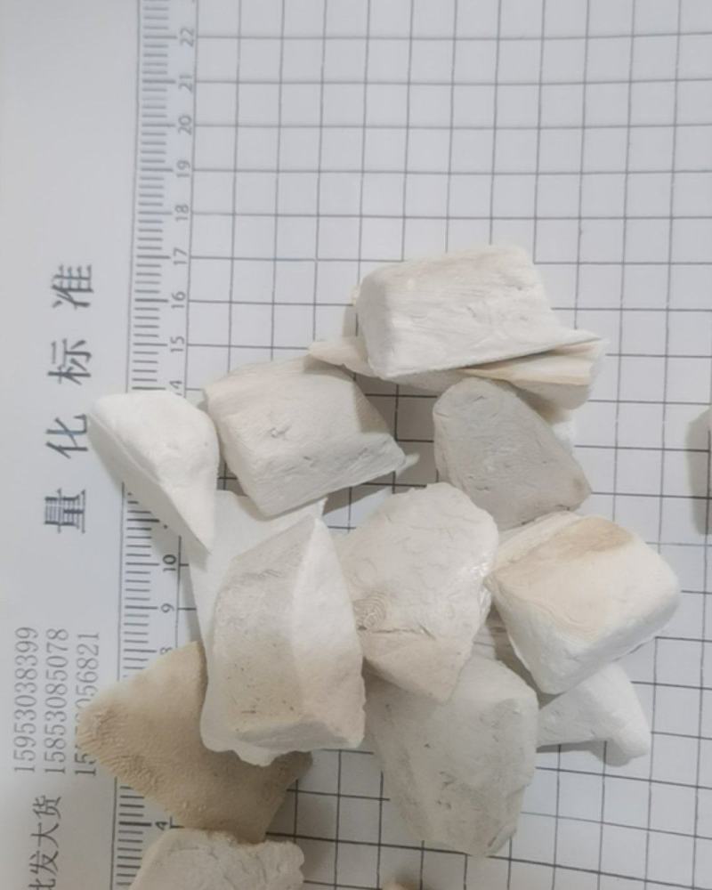 海螵蛸泽润中药批发供应海螵蛸大块