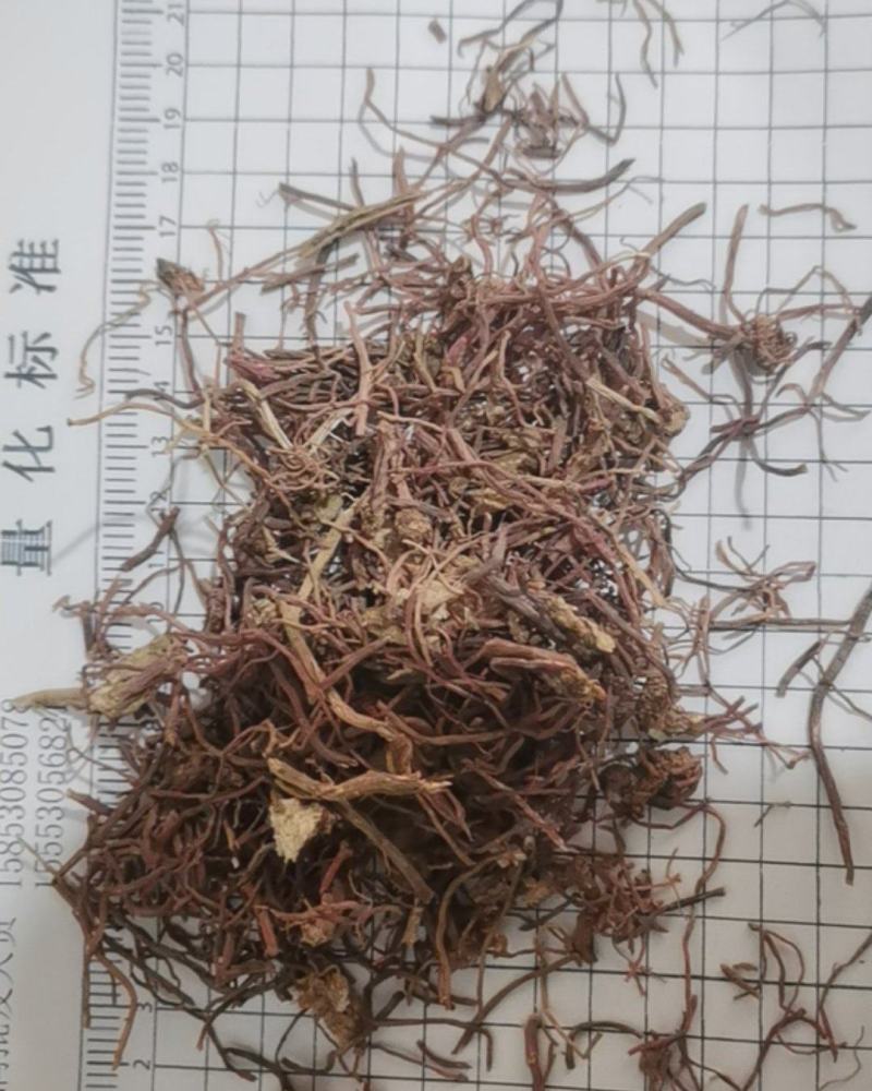 紫苑泽润中药批发供应紫苑水洗统货无杂质