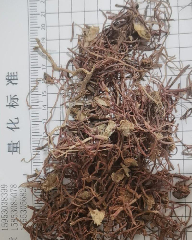 紫苑泽润中药批发供应紫苑水洗统货无杂质
