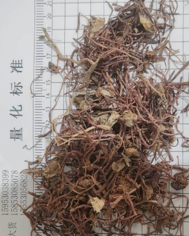 紫苑泽润中药批发供应紫苑水洗统货无杂质