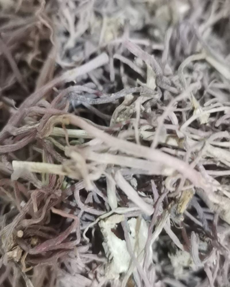 紫苑泽润中药批发供应紫苑水洗统货无杂质