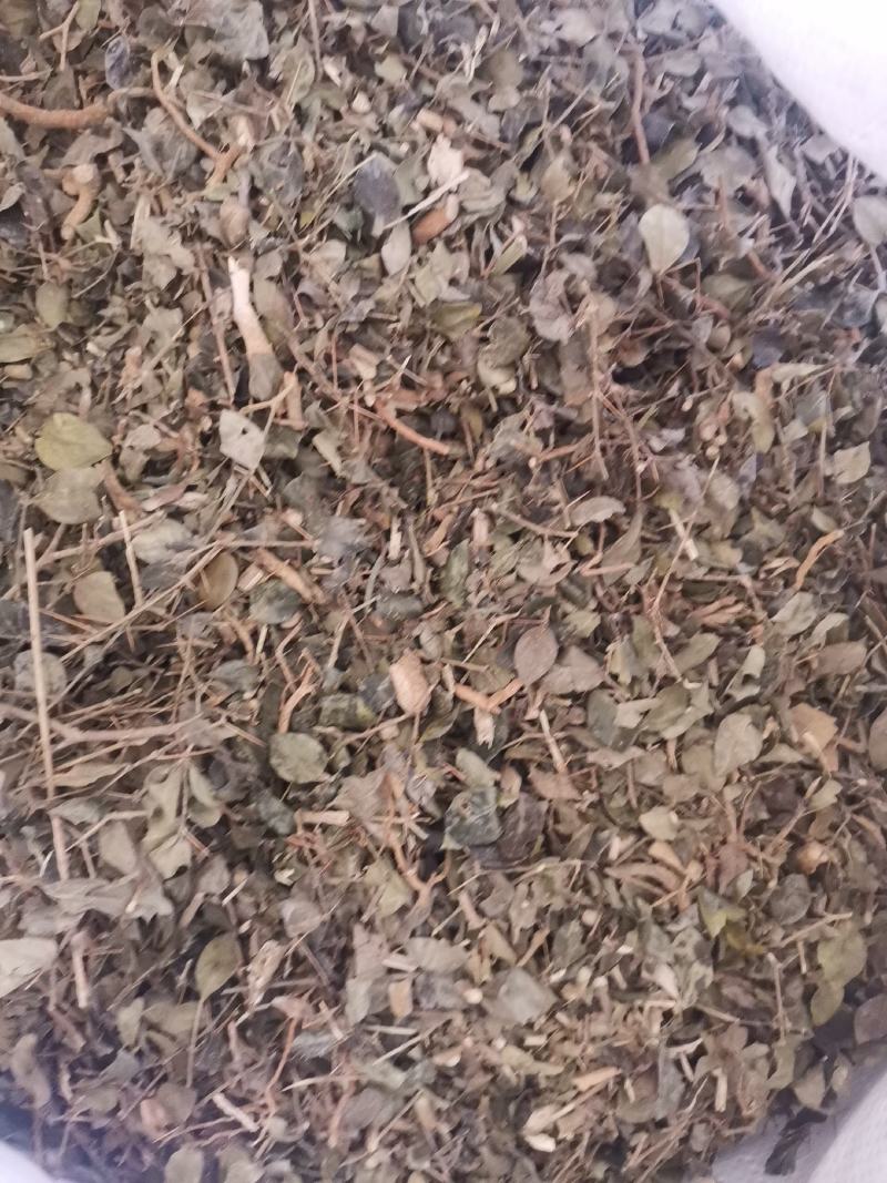 大西南绣花针虎刺无杂净货量大从优欢迎选购