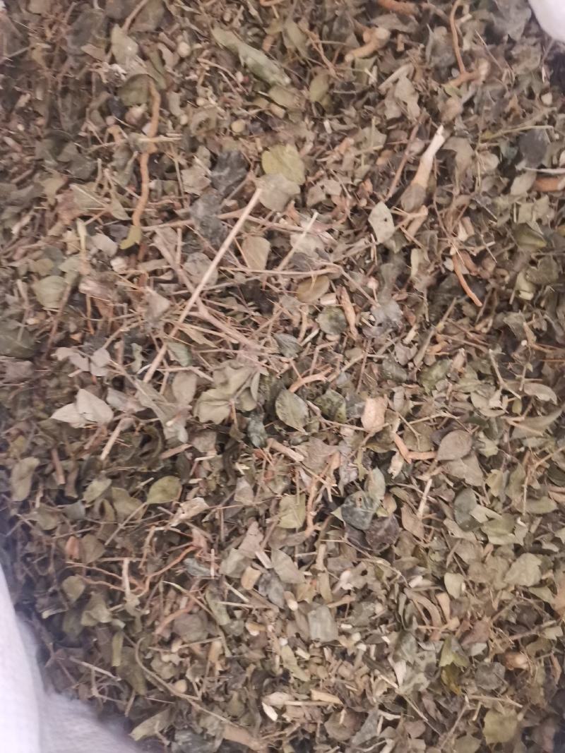 大西南绣花针虎刺无杂净货量大从优欢迎选购