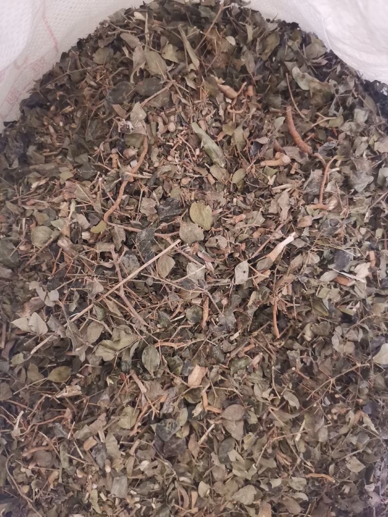 大西南绣花针虎刺无杂净货量大从优欢迎选购