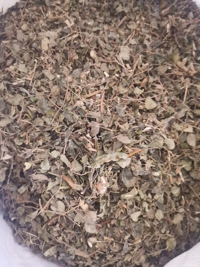 大西南绣花针虎刺无杂净货量大从优欢迎选购