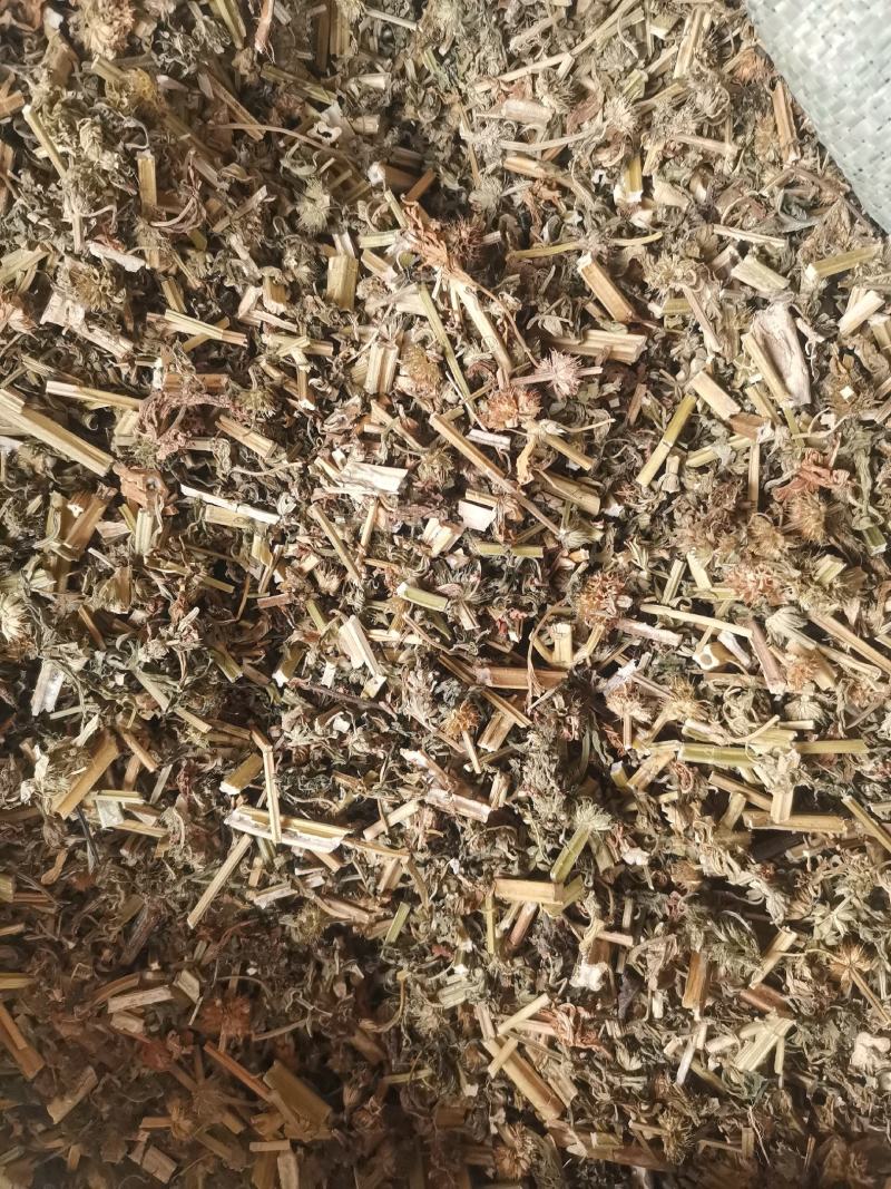 优质益母草切段无杂净货量大从优欢迎选购