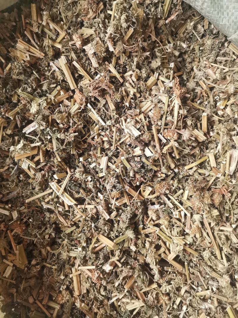 优质益母草切段无杂净货量大从优欢迎选购