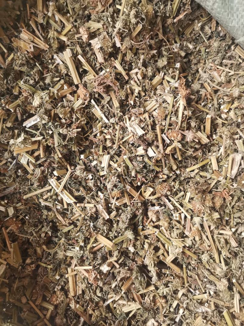 优质益母草切段无杂净货量大从优欢迎选购