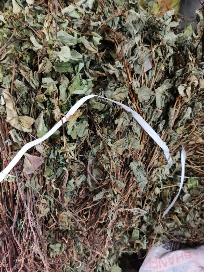 野生水洗鱼腥草无硫干度好叶绿鱼腥草干货折耳根中药材饮品