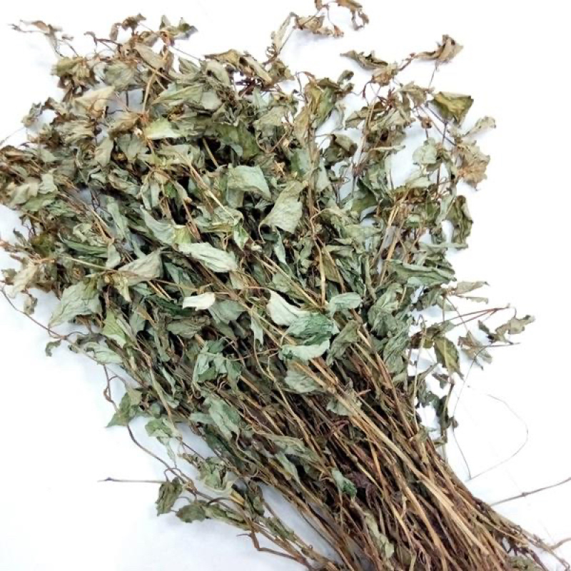 野生水洗鱼腥草无硫干度好叶绿鱼腥草干货折耳根中药材饮品