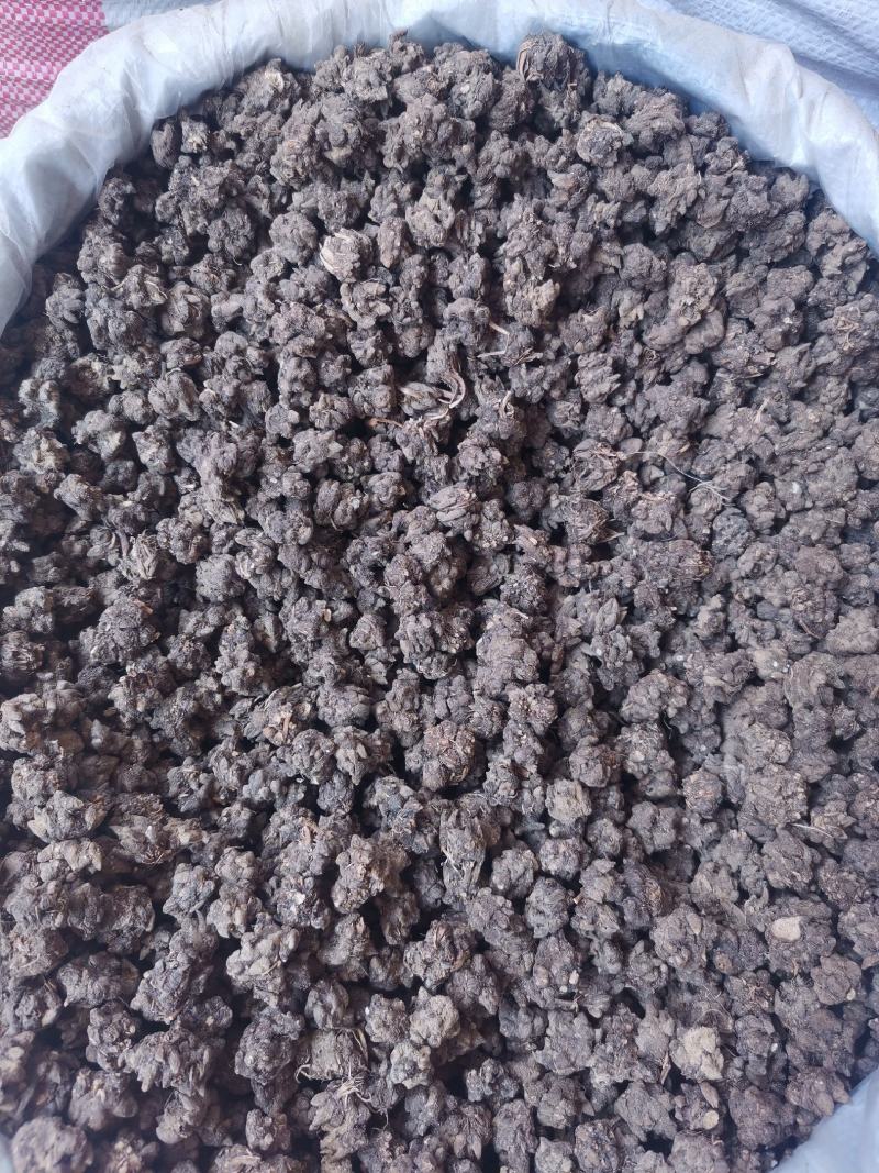 优质河南猫爪草无杂净货量大从优欢迎选购