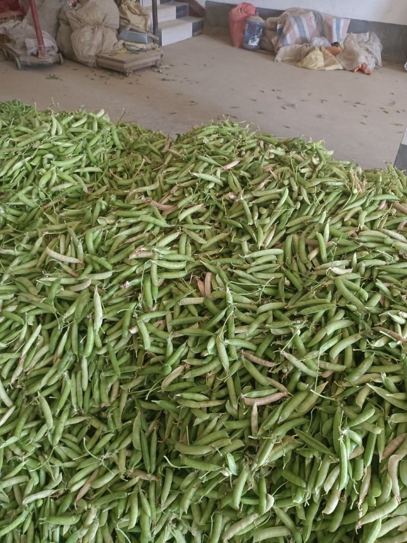 豌豆荚