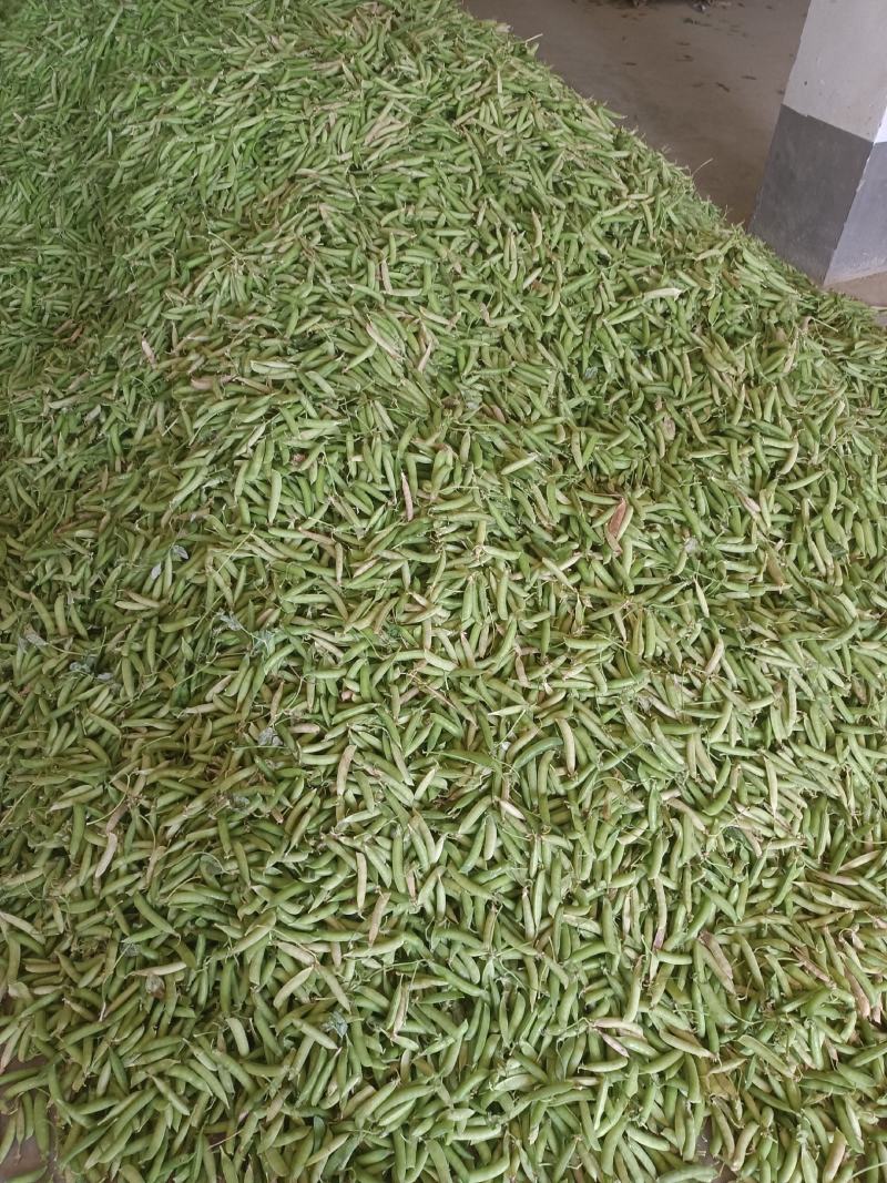 豌豆荚