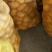 湖北当阳土豆大量供应通货3两以上无虫眼无青头量大优惠