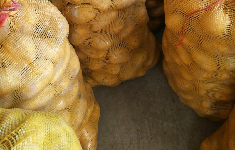 湖北当阳土豆大量供应通货3两以上无虫眼无青头量大优惠