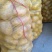 湖北当阳土豆大量供应通货3两以上无虫眼无青头量大优惠