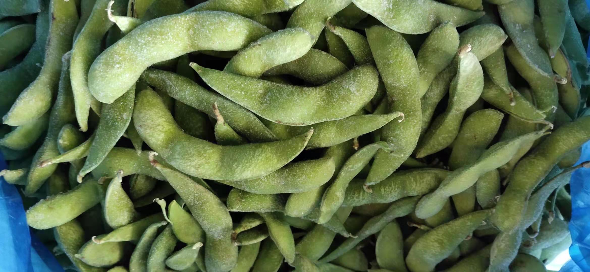 新鲜毛豆原料特写,展示豆荚完整形态与自然质感 新鲜采摘的青绿色毛豆,豆荚饱满,表面有细密绒毛,散放在竹编簸箕中,背景为田园风光