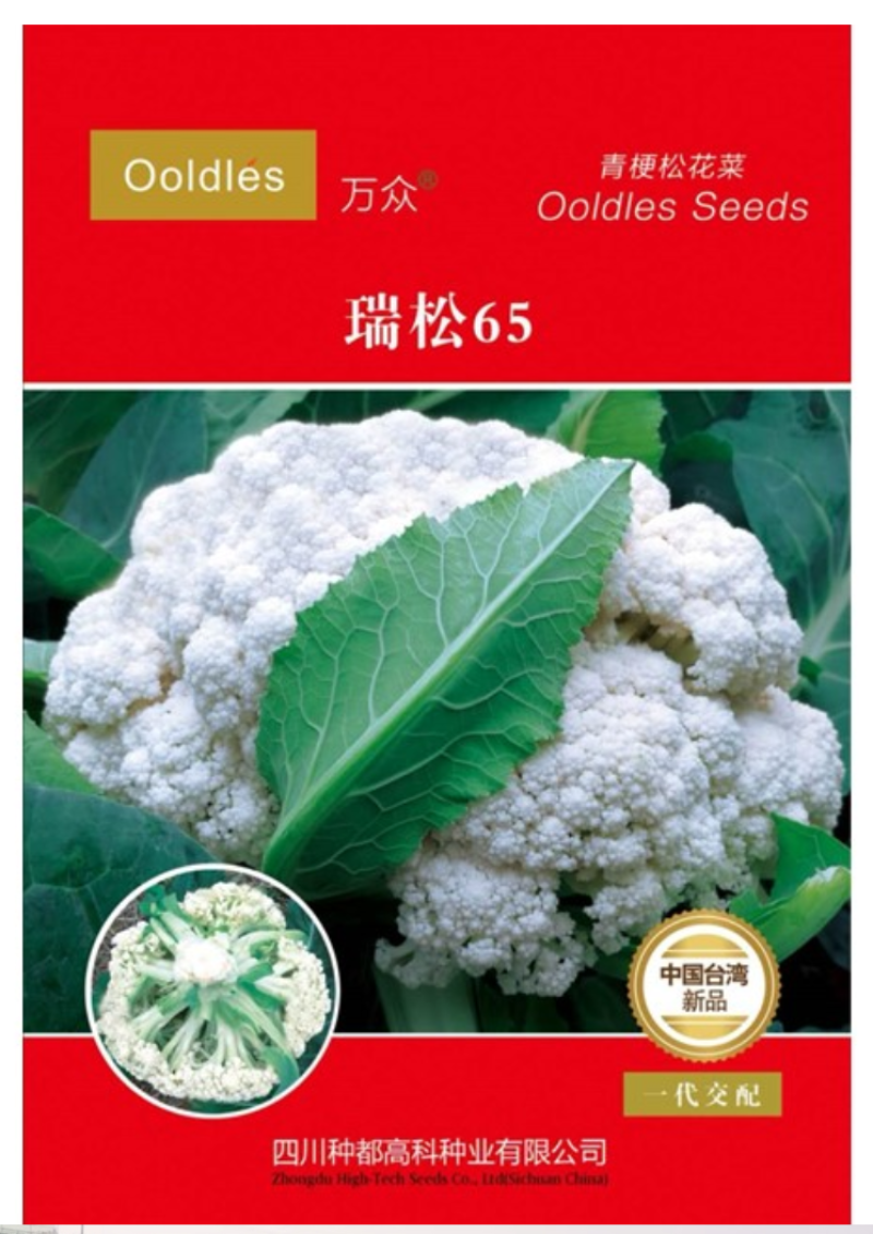 夏抗60松花菜耐热耐雨耐晒不盖球也很白六月播种