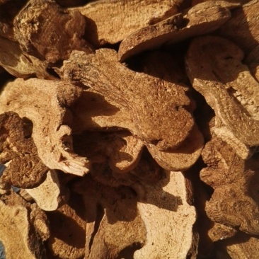 泽润中药批发供应白术肤炒白术原装大统