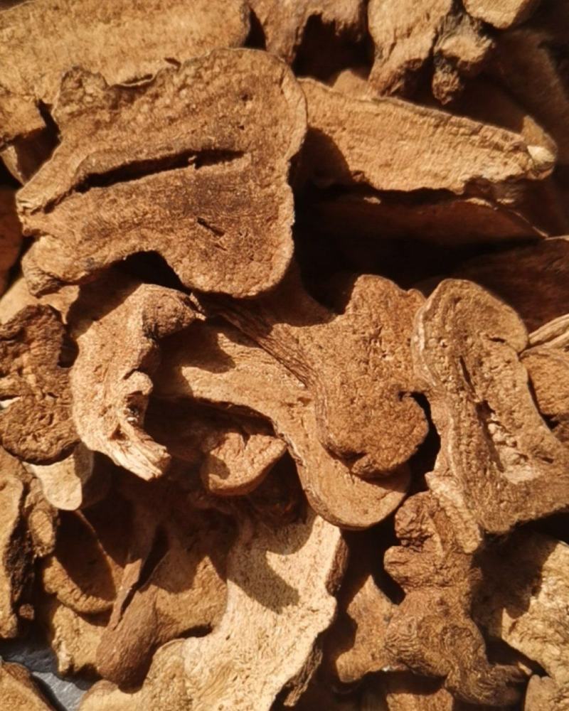 泽润中药批发供应白术肤炒白术原装大统