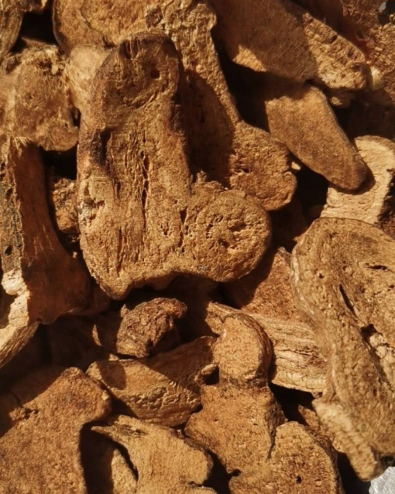 泽润中药批发供应白术肤炒白术原装大统