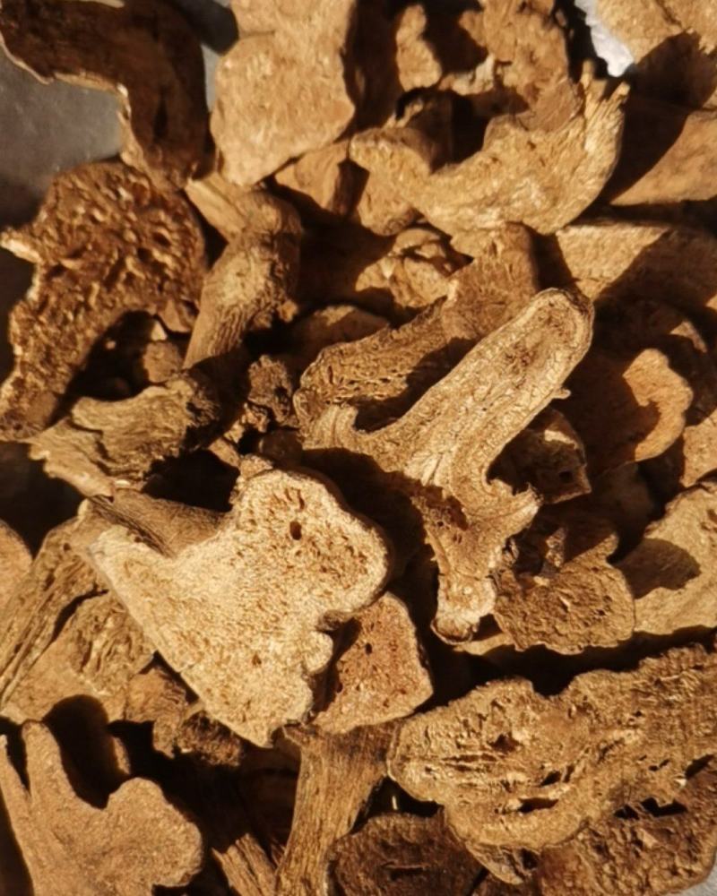 泽润中药批发供应白术肤炒白术原装大统