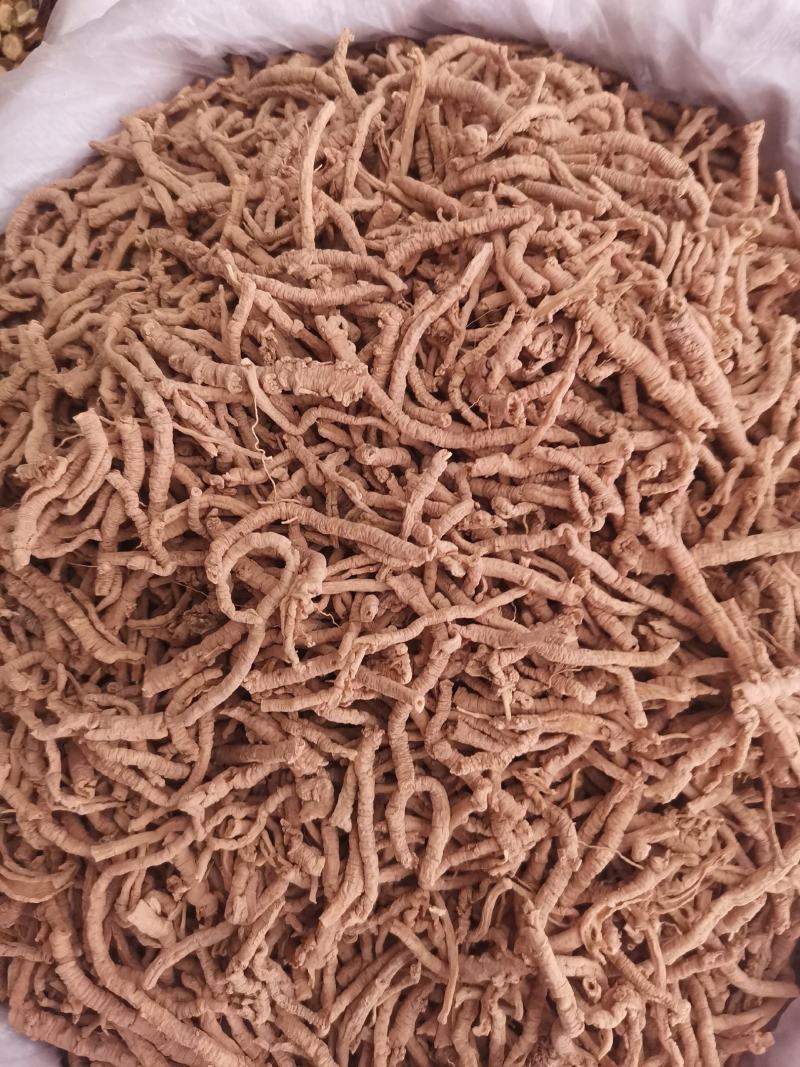 优质山西远志抽芯无杂净货量大从优规格齐全