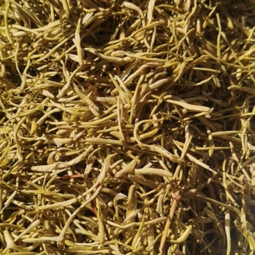 泽润中药批发供应金银花山银花药用颜色青