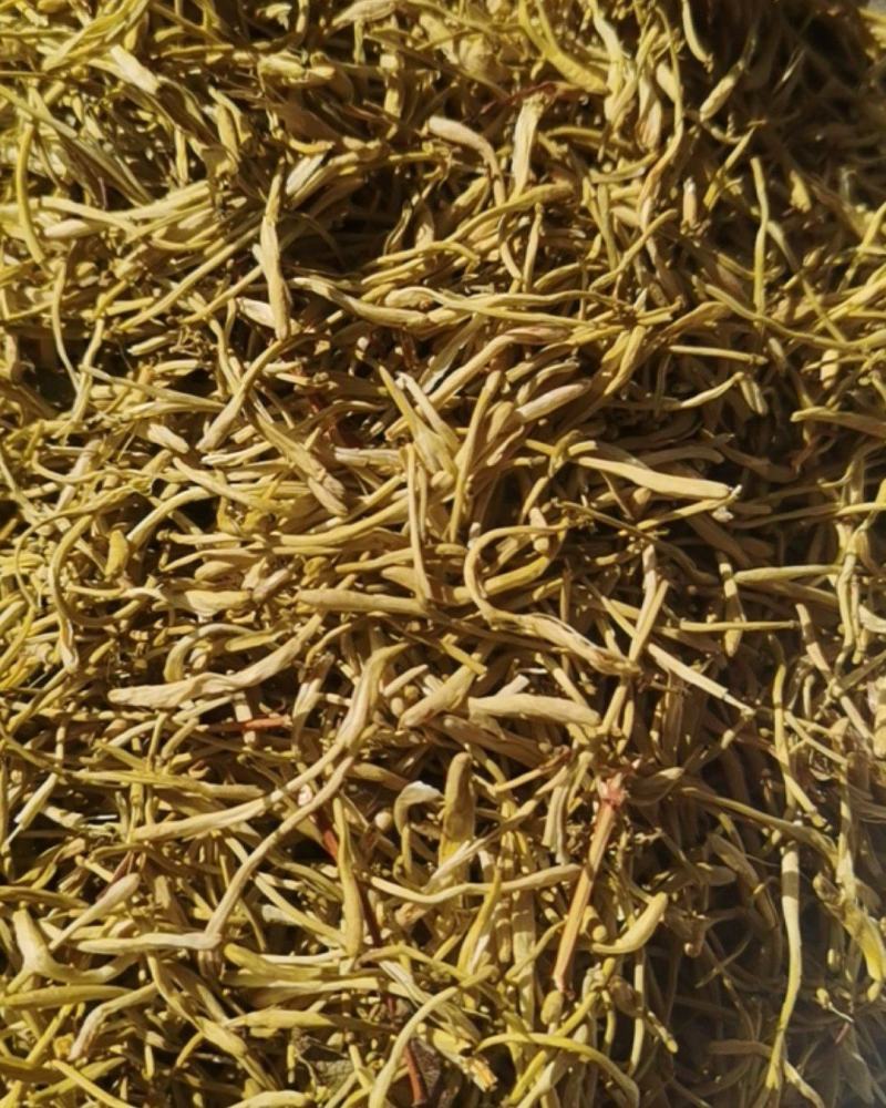 泽润中药批发供应金银花山银花药用颜色青