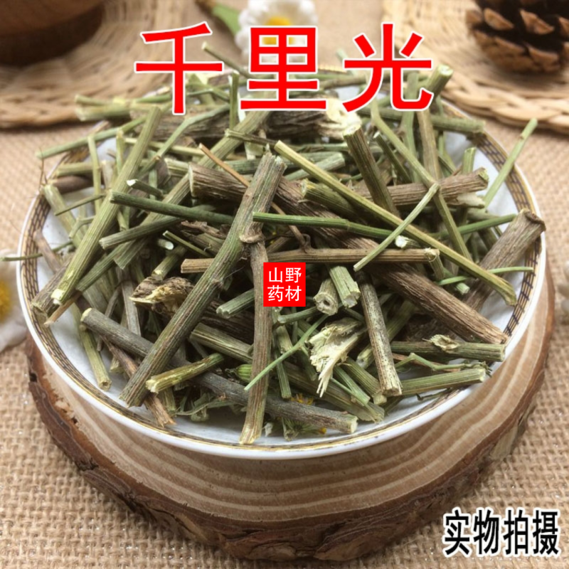 云南野生中药材千里光九里光九里明500g包邮