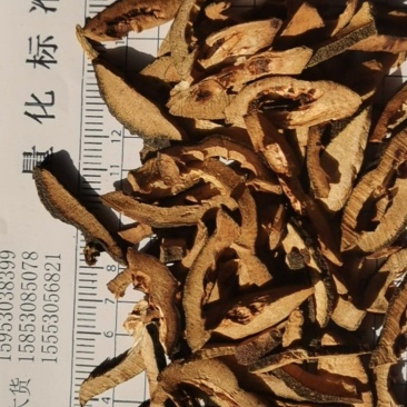 泽润中药批发供应枳壳肤炒枳壳正品江西枳壳