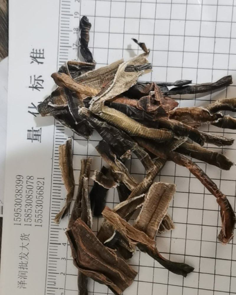 泽润中药批发供应地龙切片大地龙过0.2筛
