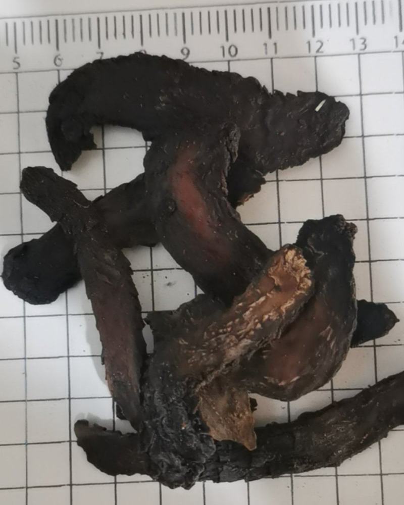 泽润中药批发供应肉苁蓉新疆野生可直接泡水
