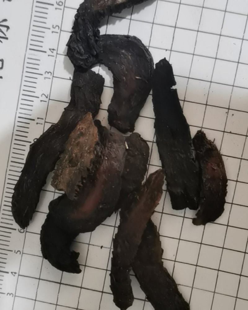 泽润中药批发供应肉苁蓉新疆野生可直接泡水