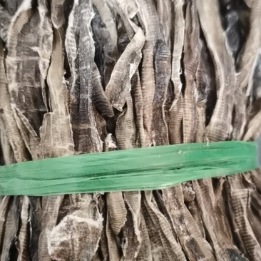 地龙泽润中药各种规格批发供应地龙精品半开
