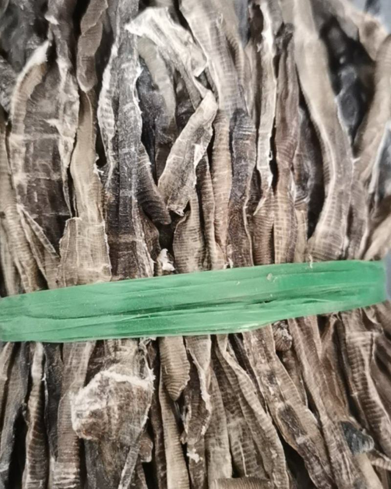 地龙泽润中药各种规格批发供应地龙精品半开