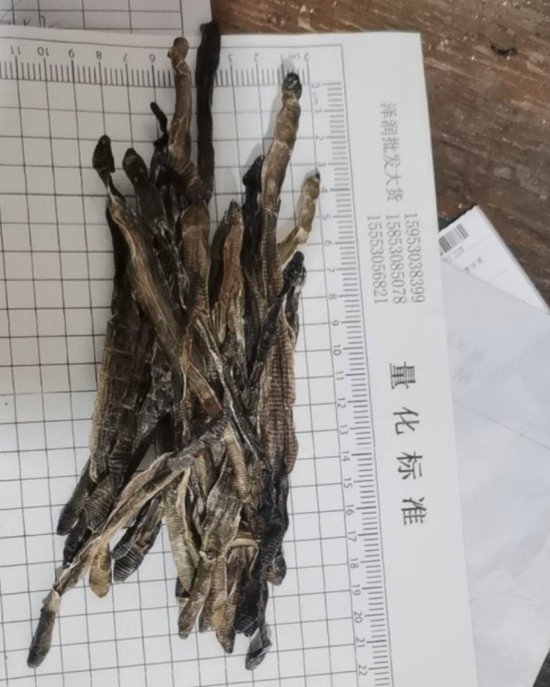 地龙泽润中药各种规格批发供应地龙精品半开